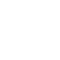 Carbon material